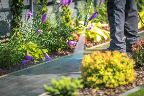 Rosedale, MD Pressure Washing Services Company