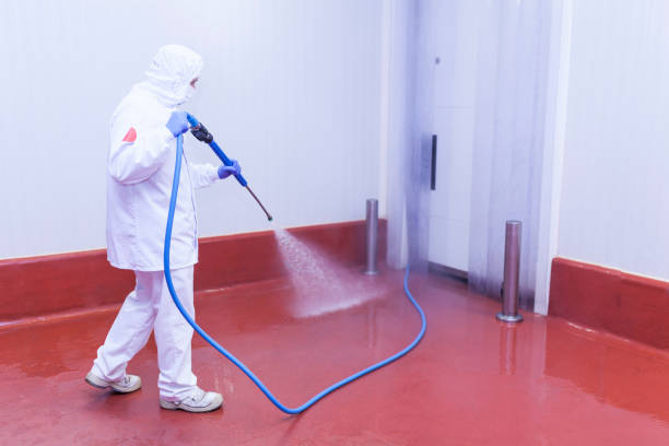  Rosedale, MD Pressure Washing Pros