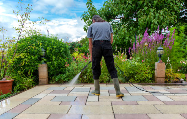 Best Roof Cleaning and Mildew Removal in Rosedale, MD